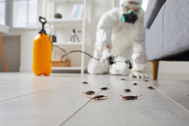 Commercial Kitchen Cockroach Control in Zion